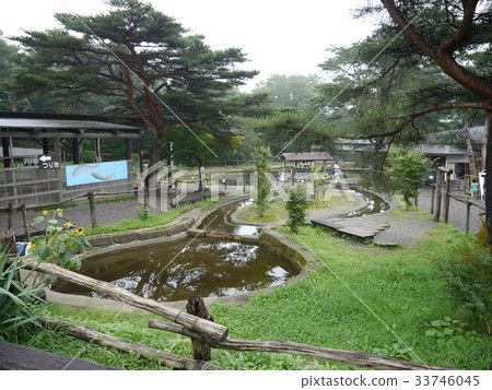 Nankigaoka牧場 33746045