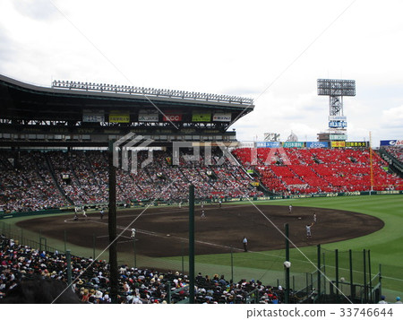 The best ground 33746644