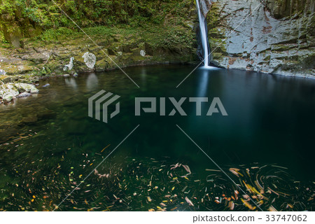 秋天紅色眼睛四十八個瀑布Nunobiki瀑布 秋天紅色眼睛四十八個瀑布Nunobiki瀑布 33747062