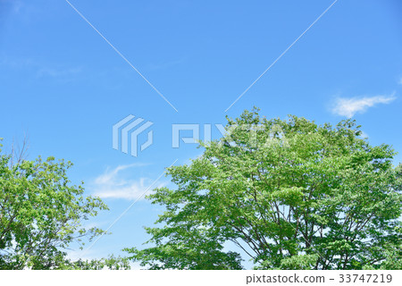 藍天和新綠色 藍天和新綠色 33747219