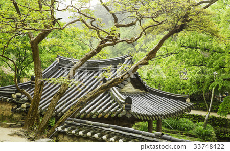 Hwanggak-Ang, Soswonwon, Damyang-gun, Jeonnam Hwanggak-Ang, Soswonwon, Damyang-gun, Jeonnam 33748422