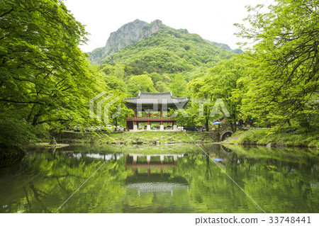 Ssanggyeol, Baekyangsa, Baekam Mountain, Changseong County, Jeonnam 33748441