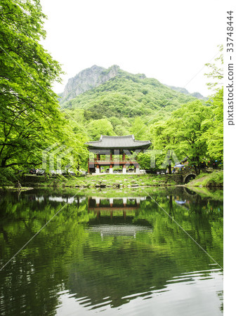 Ssanggyeol, Baekyangsa, Baekam Mountain, Changseong County, Jeonnam 33748444