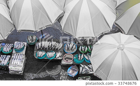 Jagalchi Market, Jung-gu, Busan 33748676