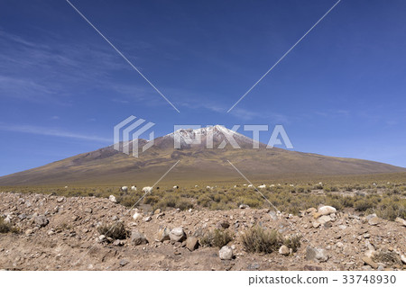 Laguna Canapa，Milunyi，玻利維亞 33748930