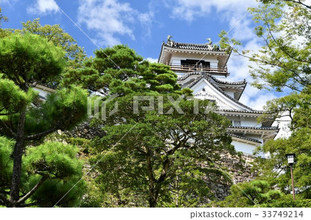 Kochi城堡Otemon Tsumumon Tenmon Honmaru宮殿黑鐵門在夏天 33749214