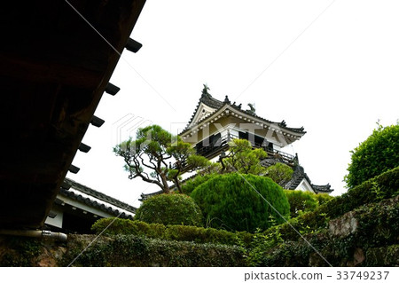 Kochi城堡Otemon Tsumumon Tenmon Honmaru宮殿黑鐵門在夏天 33749237