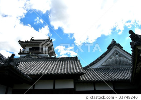 Kochi Castle Otemon Tsumumon Tenmon Honmaru Palace Black Iron Gate in Summer 33749240