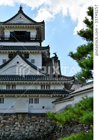 Kochi Castle Otemon Tsumumon Tenmon Honmaru Palace Black Iron Gate in Summer 33749257