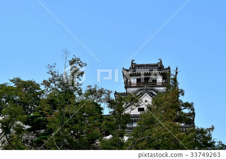 Kochi城堡Otemon Tsumumon Tenmon Honmaru宮殿黑鐵門在夏天 33749263