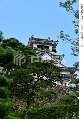 Kochi城堡Otemon Tsumumon Tenmon Honmaru宮殿黑鐵門在夏天 33749264