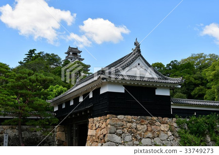 Kochi Castle Otemon Tsumumon Tenmon Honmaru Palace Black Iron Gate in Summer 33749273