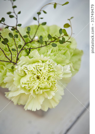 flower arrangement flower arrangement 33749479
