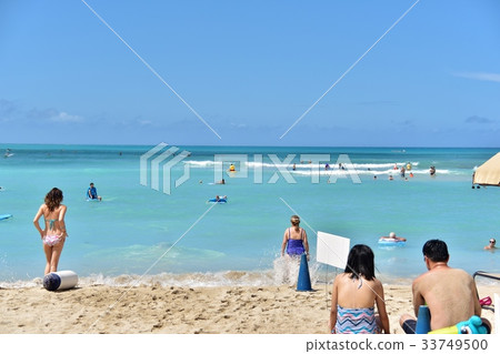 夏威夷的假期 夏威夷的假期 33749500