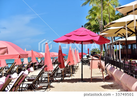 夏威夷的假期 33749501