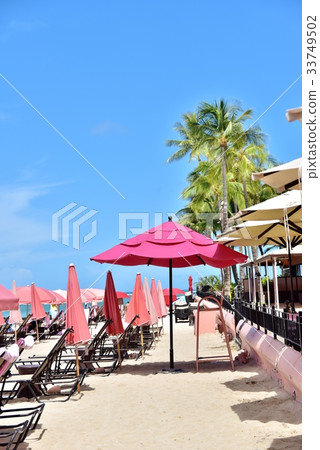 夏威夷的假期 33749502
