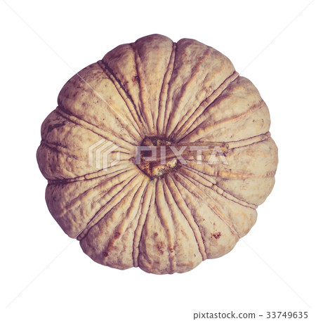 pumpkin isolated on white background with path 33749635