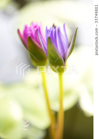 training training 33749801