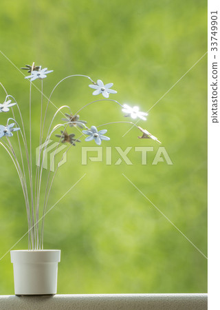 Flowers, pots, postcards 33749901