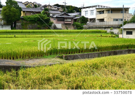 反擁擠措施 33750078