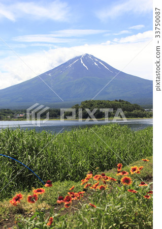 在初夏的大石公園 在初夏的大石公園 33750087