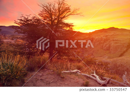 Cerro Torre and glaciers Cerro Torre and glaciers 33750547