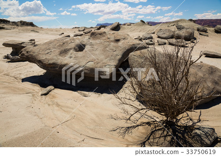 Formations of stones in Ischigualasto Park Formations of stones in Ischigualasto Park 33750619