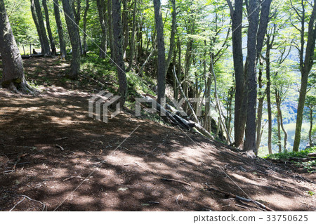 Hilltop forest views Hilltop forest views 33750625