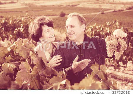 Glad wine maker shows to wife grown-up grapes 33752018