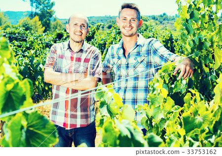 Two gardeners standing together in grapes tree yard 33753162