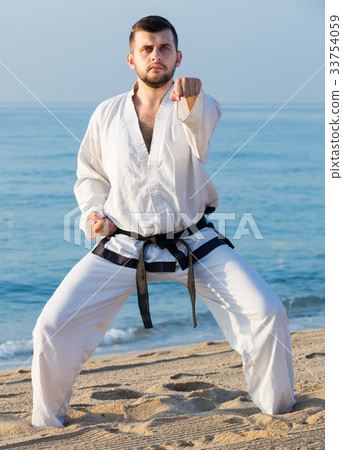guy demonstrates karate poses guy demonstrates karate poses 33754059