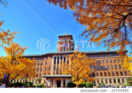 Ginkgo trees lined with yellow and yellow leaves and Kanagawa prefectural government office Ginkgo trees lined with yellow and yellow leaves and Kanagawa prefectural government office 33754365