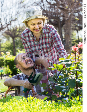 portrait of a couple taking care of green plants in the garden 33755411