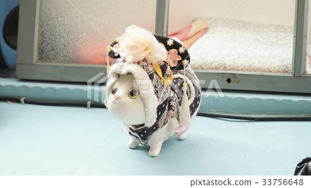 cat decoration 33756648