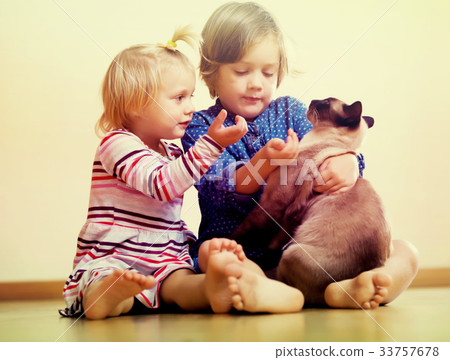 Two happy little girls with cat 33757678