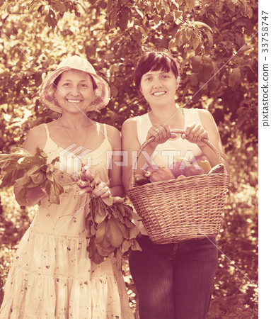 women with harvested vegetables in garden 33758747