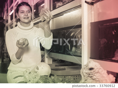 teenager selecting interesting aquarium rocks and stone for aquarium entourage teenager selecting interesting aquarium rocks and stone for aquarium entourage 33760912