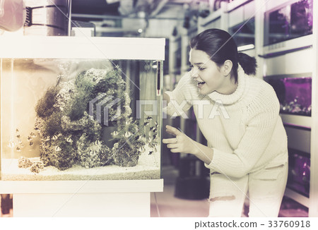 Girl looking at striped tropical fish in aquarium with rocks and seaweed inside 33760918