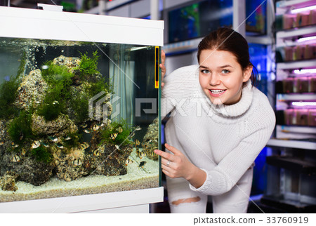 Girl looking at striped tropical fish in aquarium with rocks and seaweed inside Girl looking at striped tropical fish in aquarium with rocks and seaweed inside 33760919