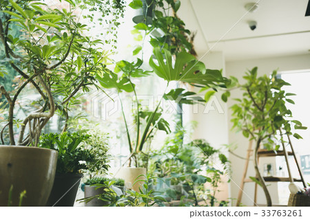 shopping complex shooting cooperation: TENOHA DAIKANYAMA shopping complex shooting cooperation: TENOHA DAIKANYAMA 33763261