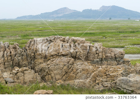 Mold, Wooshin-do, Hwaseong-si, Gyeonggi-do 33763364