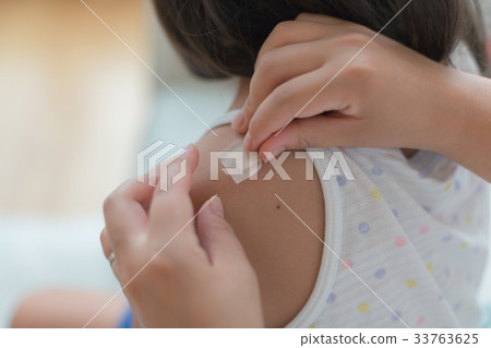女生 女 女性 33763625