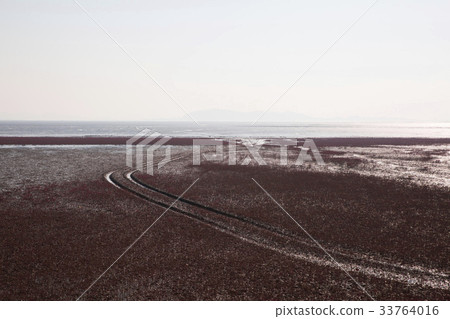 Chilgumcho, Tidal flat, Goodwill, Ansan, Gyeonggi-do 33764016