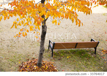 Bench, Paju City, Gyeonggi-do 33764017