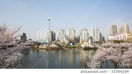 Cherry Blossom, Lotte World, Lake Palace, Seokchon Lake, Jamsil, Songpa-gu, Seoul 33764204