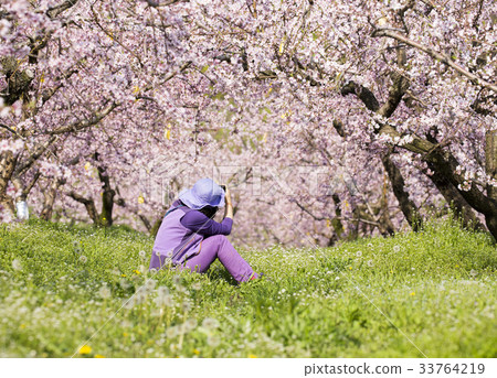 繪畫，攝影師 33764219