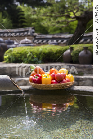 水果,泉水,Seoil種植園,Anseong-si,Gyeonggi-do 水果,泉水,Seoil種植園,Anseong-si,Gyeonggi-do 33764306