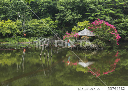 Photographer, daily leisure town, Suncheon city, Jeonnam 33764382