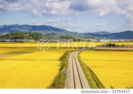 Rice, railroad, Changzhou, Gyeongbuk 33764427
