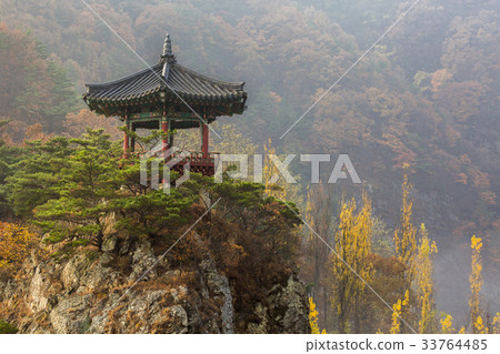 忠武郡永東郡 33764485